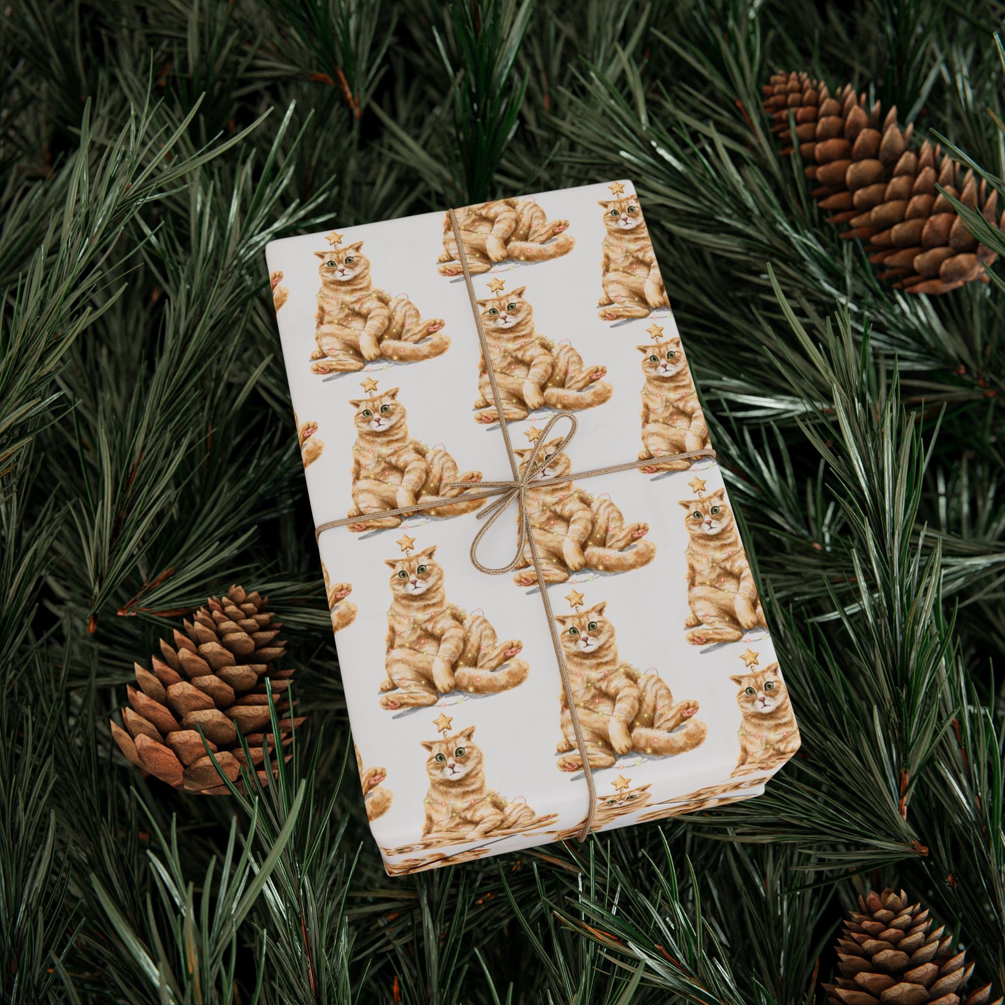 Star Cat Holiday Wrap